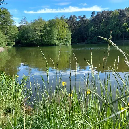 Osrodek Wypoczynkowo-hotelowy Przasniczka *