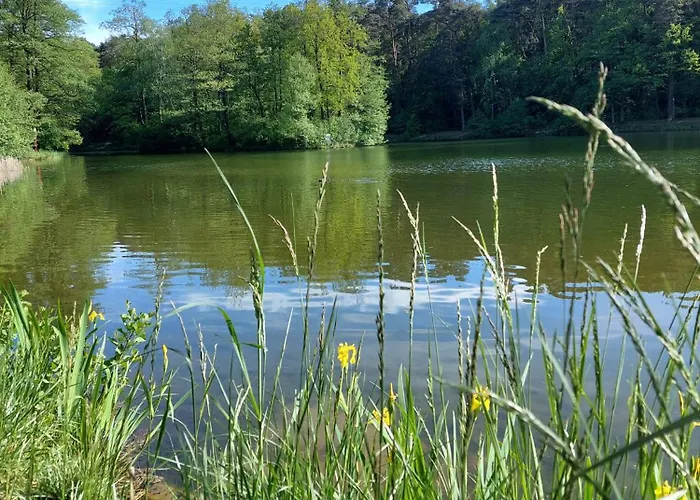 Osrodek Wypoczynkowo-hotelowy Przasniczka *